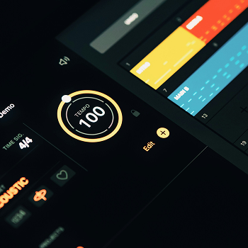 Interaction Designer